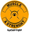 Muscle